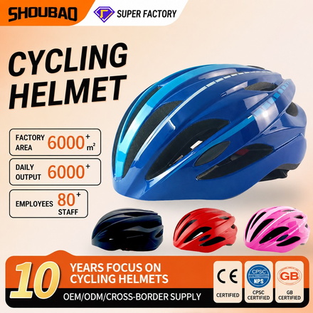 Cycling Helmet 1